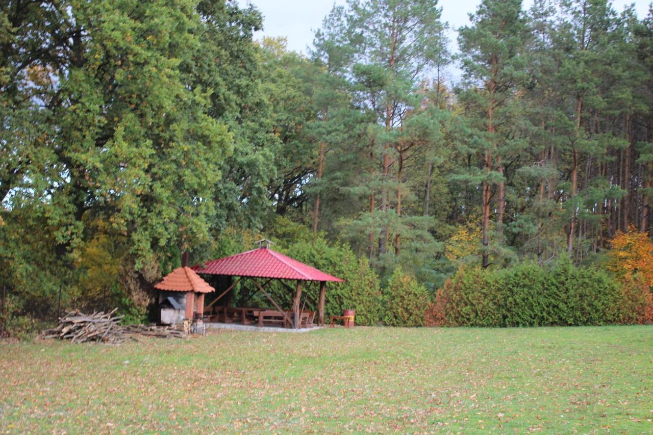 Gospodarstwo Agroturystyczne Agroletnica Świdnica Eksteriør billede