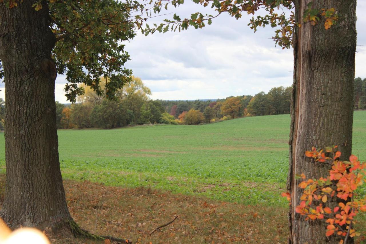 Gospodarstwo Agroturystyczne Agroletnica Świdnica Eksteriør billede